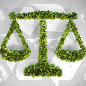 Experto en Medio Ambiente